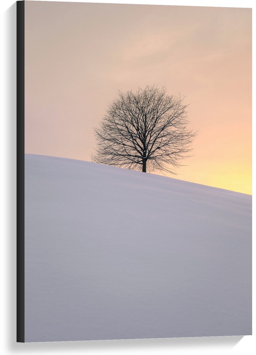 Canvas  - Boom achter een Berg Sneeuw  - 60x90cm Foto op Canvas Schilderij (Wanddecoratie op Canvas)