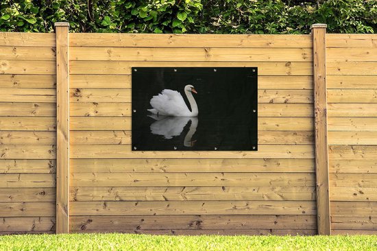 Affiche de jardin Gracieux nageur 120x80 cm - Toile de jardin / Toile d'extérieur / Peintures d'extérieur (décoration de jardin)
