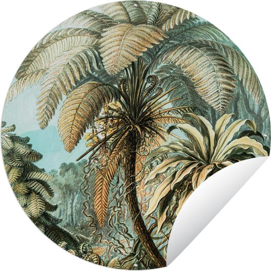 Tuincirkel Palmboom - Ernst Haeckel - 150x150 cm - Ronde Tuinposter - Buiten