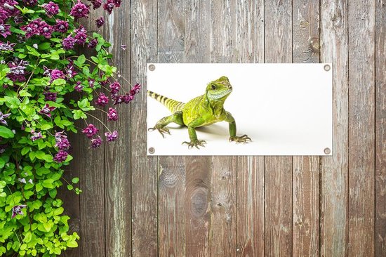 Poster de jardin Lézard - Reptile - Vert - 80x40 cm - Décoration murale Outdoor - Poster de jardin - Toile jardin - Poster clôture - Tableau jardin