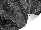 Muurdecoratie buiten Grote nerven in een blad - zwart wit - 160x120 cm - Tuindoek - Buitenposter