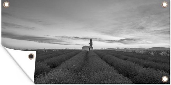 Schuttingposter Lavendelveld in Frankrijk - zwart wit - 200x100 cm - Tuindoek