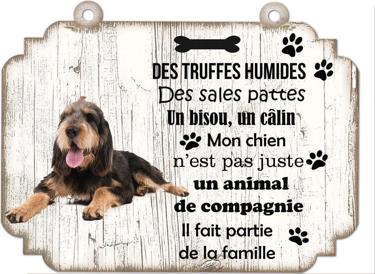 Tableau Déco - Otter Hound