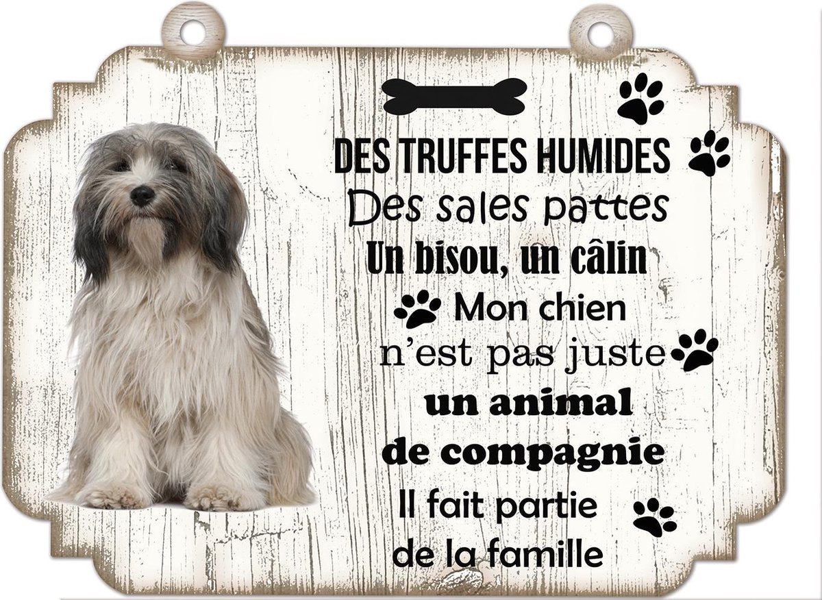 Tableau Déco - Terrier Écossais