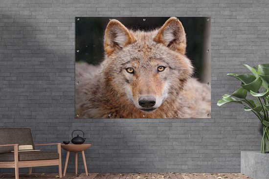 Décoration murale extérieur Loup - Predator - Marron - 160x120 cm