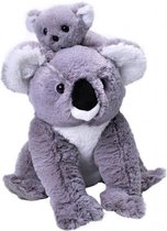 knuffel Koala 30 cm pluche grijs 2-delig