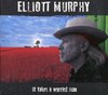 Elliott Murphy - It Takes A Worried Man (CD)