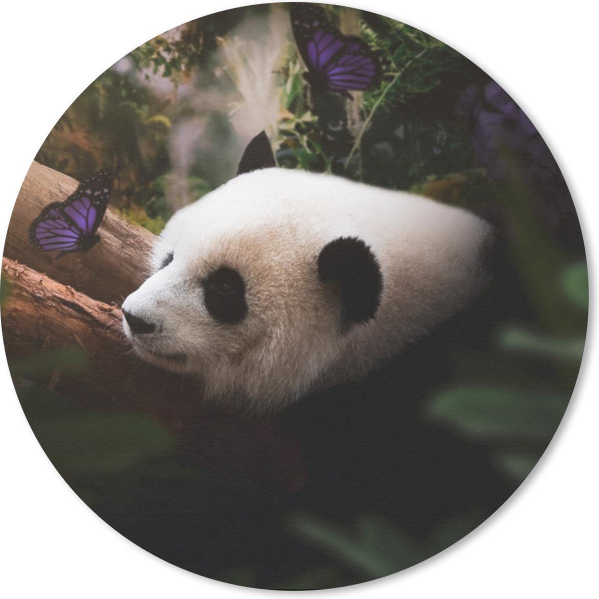 Muismat rond 50x50 cm - Mousepad Dieren - Jungle - Panda - Ronde muismatten