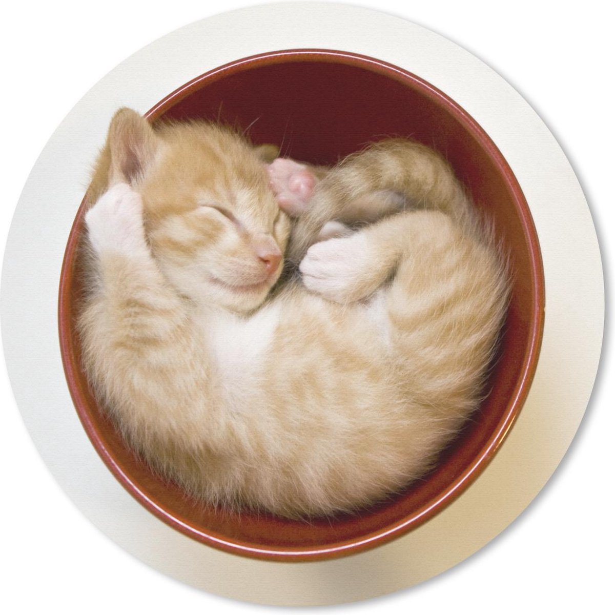 Muismat rond 40x40 cm - Mousepad Een kitten in een rode kom - Ronde muismatten