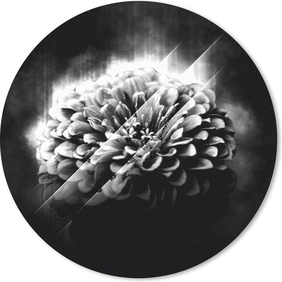 Muismat rond 40x40 cm - Mousepad Rozen - Bloemen - Licht - Zwart - Wit - Ronde muismatten