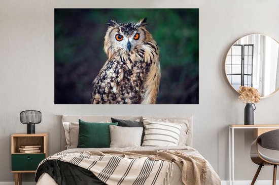 Poster Eagle Owl 150x75 cm - Tirage photo sur Poster (décoration murale salon / chambre) / Poster Animaux