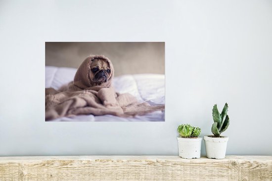 Poster Chien - Couverture - Lit - 30x20 cm