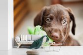 Behang - Fotobehang Labrador puppy eet blad - Breedte 420 cm x hoogte 280 cm