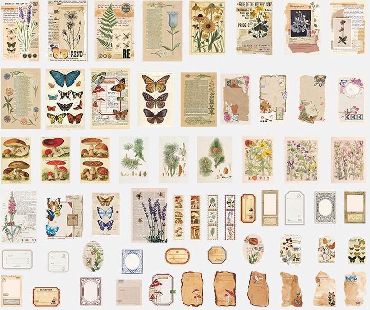 Deco Sticker- & Papierset - Nature - 200 stuks - Bullet Journal Stickers - Planner Agenda Stickers - Scrapbook stickers /papier -  Hobbypapier - Stickers en hobbypapier voor volwassenen en kinderen — afbeelding 4