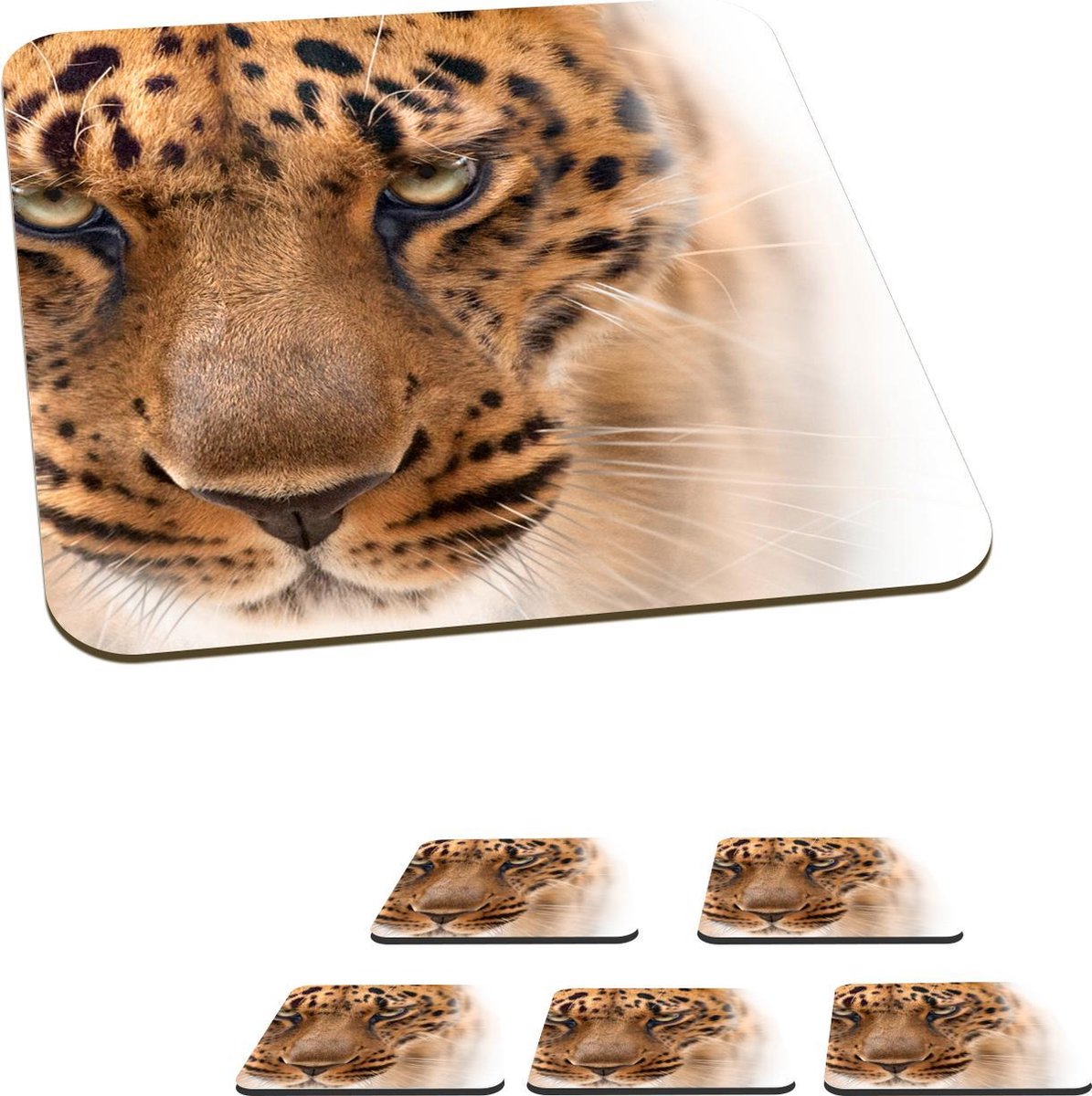 Onderzetters voor glazen - Luipaard - Portret - Ogen - 10x10 cm - Glasonderzetters - 6 stuks