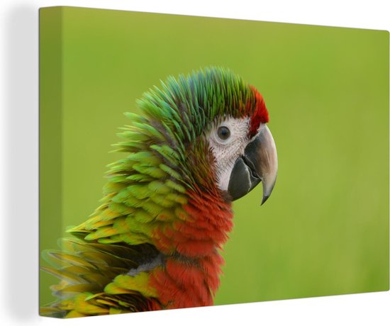 Canvas Schilderij Dieren - Tropisch - Papegaai - 30x20 cm - Wanddecoratie