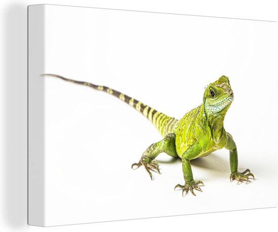 Toile Peinture Lézard - Reptile - Wit - 90x60 cm - Décoration murale