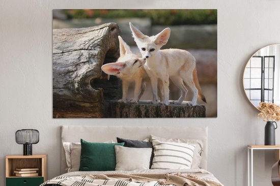 Deux adorables renards Fennec sur un tronc d'arbre Toile 180x120 cm - Tirage photo sur Toile (Décoration murale salon / chambre) / Animaux sauvages Peintures sur toile XXL / Groot format!