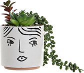 Decoratieve plant DKD Home Decor Wit Groen PVC Dolomite (22 x 12 x 20 cm)