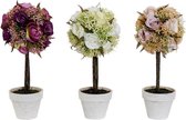 Decoratieve plant DKD Home Decor Wit Roze Bordeaux Plastic Stof (3 pcs) (13 x 13 x 29 cm)