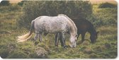 Bureauonderlegger - Paarden - Gras - IJslander - 60x30 - Muismat