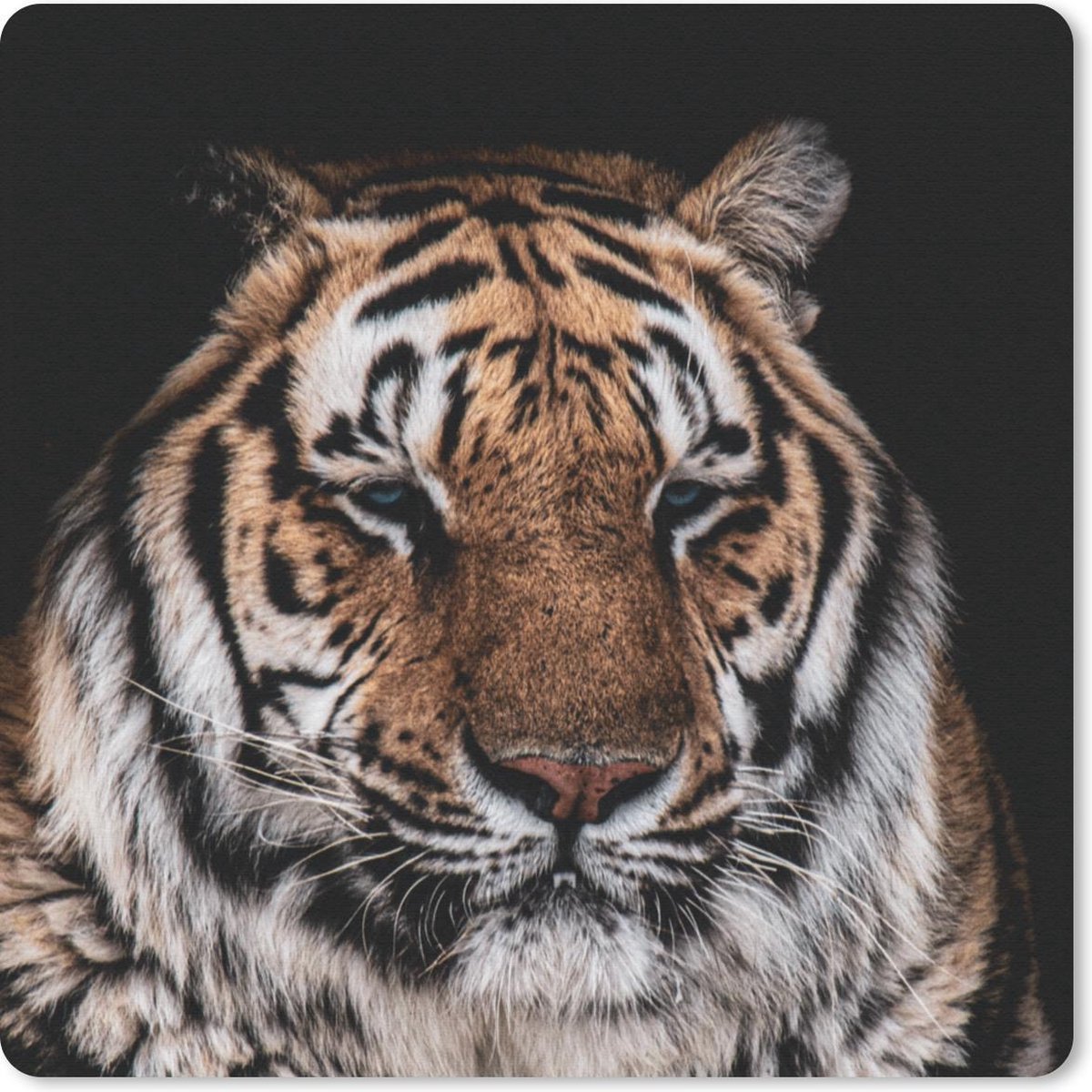 Muismat 30x30 cm - Mousepad Tijger - Dieren - Oranje - Muismatten