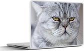 Laptop sticker - 15.6 inch - Dier - Kat - Grijs - 36x27,5cm - Laptopstickers - Laptop skin - Cover