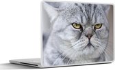 Sticker ordinateur portable - 15,6 pouces - Animal - Chat - Grijs