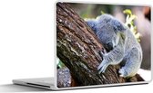 Laptop sticker - 17.3 inch - Koala - Boom - Slapen - Kinderen - Jongens - Meiden