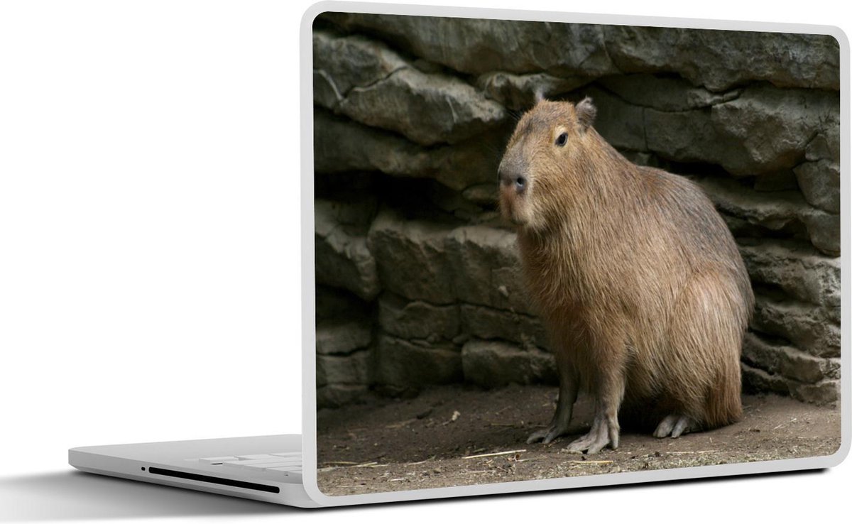 Laptop sticker - 14 inch - Een Capibara in een rotsachtige omgeving - 32x5x23x5cm - Laptopstickers - Laptop skin - Cover