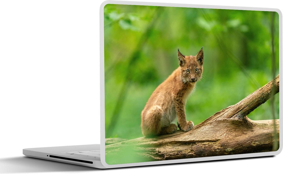 Afbeelding van product SleevesAndCases  Laptop sticker - 14 inch - Lynx zit op een tak en kijkt recht in de camera in het Nationaal Park Bayerischer Wald