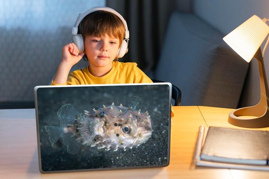 Sticker ordinateur portable - 14 pouces - Petit poisson globe