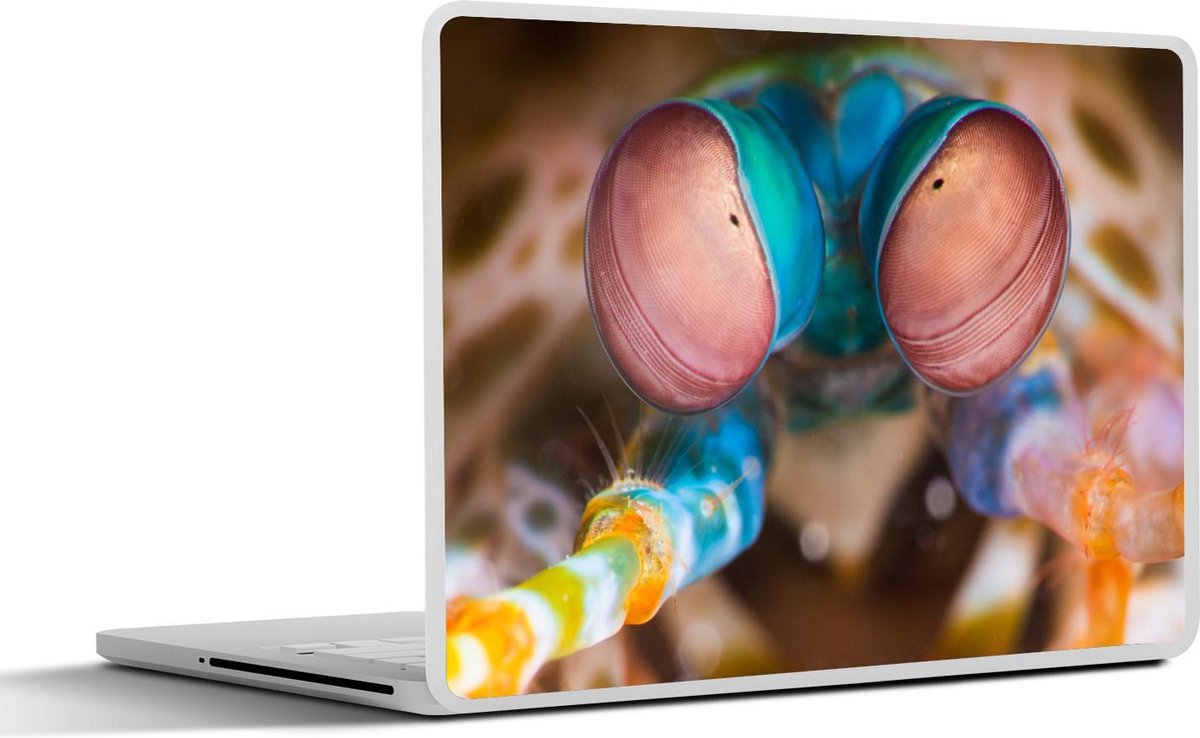Afbeelding van product SleevesAndCases  Laptop sticker - 10.1 inch - Close-up kleurrijke bidsprinkhaan