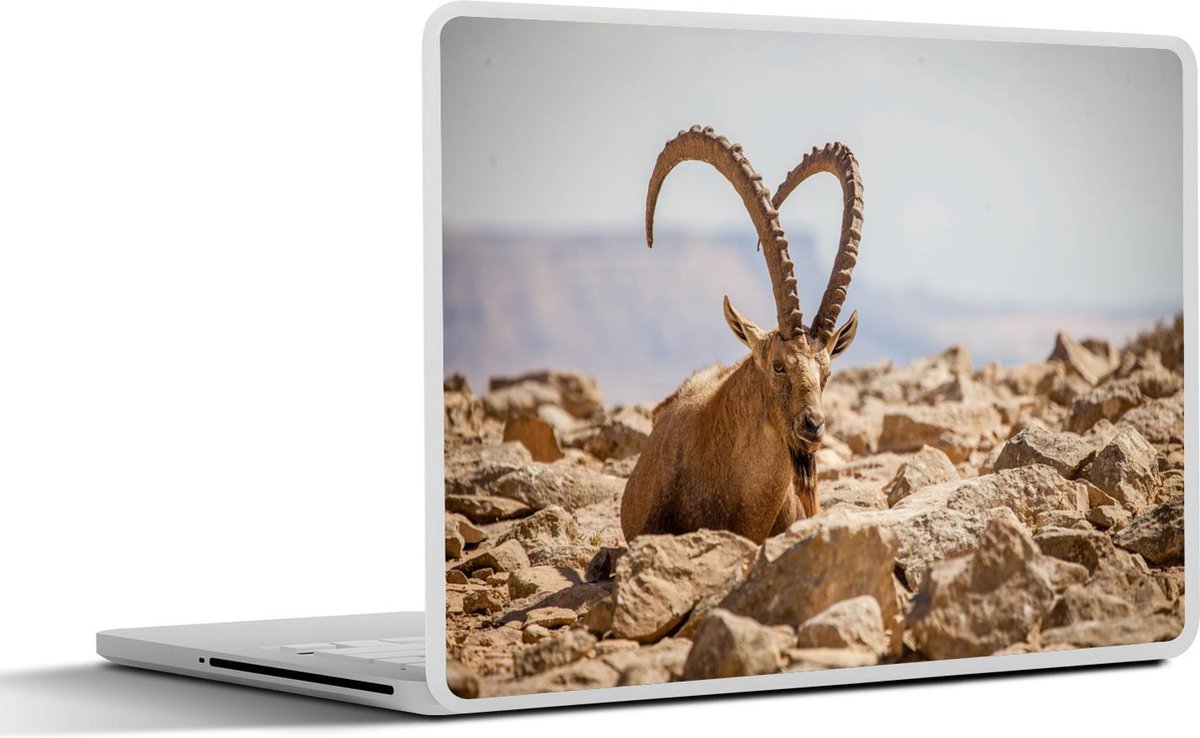 Afbeelding van product SleevesAndCases  Laptop sticker - 13.3 inch - Geit - Hoorn - Steen