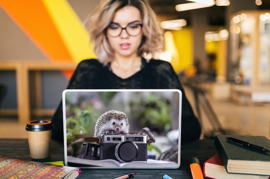 Sticker ordinateur portable - 13,3 pouces - Hérisson sur caméra