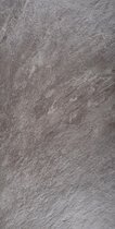Bol.com-Minimaal 5 stuks afnemen Minimaal 5! Ceramica Lastra Trust Titanium-aanbieding Bol.com-Minimaal 5 stuks afnemen Minimaal 5! Ceramica Lastra Trust Titanium-aanbieding