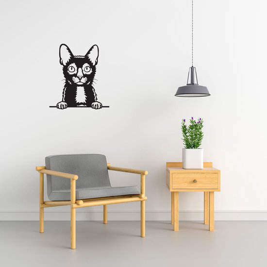 Lykoi - Chat - Chat - S - 49x45cm - Zwart - décoration murale