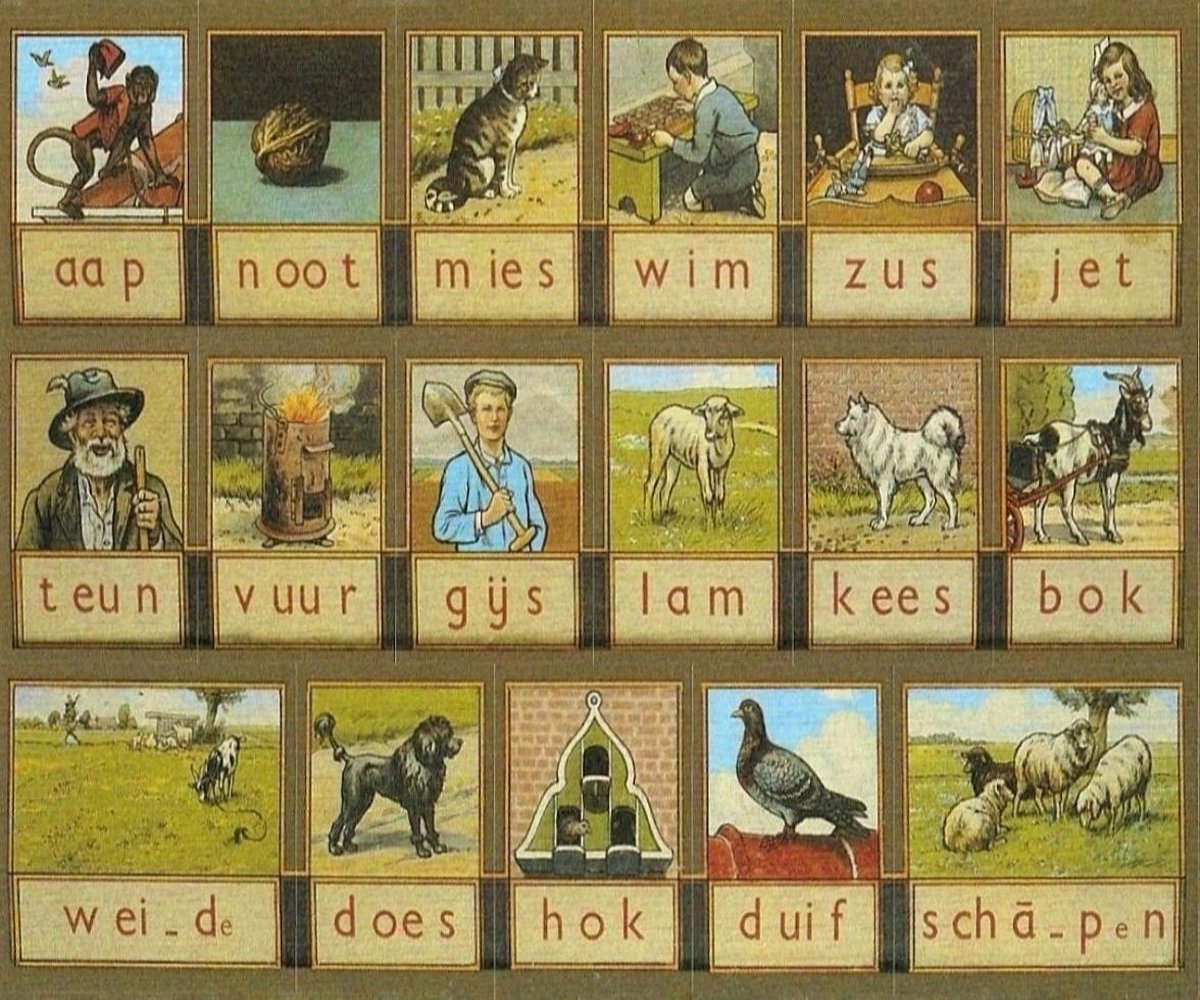 Diamond Painting Aap Noot Mies leesplankje 80x100cm. (Volledige