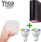 Ynoa slimme buitenverlichting St. Tropez - Zwart - Inclusief afstandsbediening - Zigbee 3.0 - RGB+W diverse kleuren en wittinten instelbaar - IP54 - Smart wandlamp voor binnen en buiten