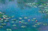 Claude Monet Waterlillies Poster 91.5x61cm
