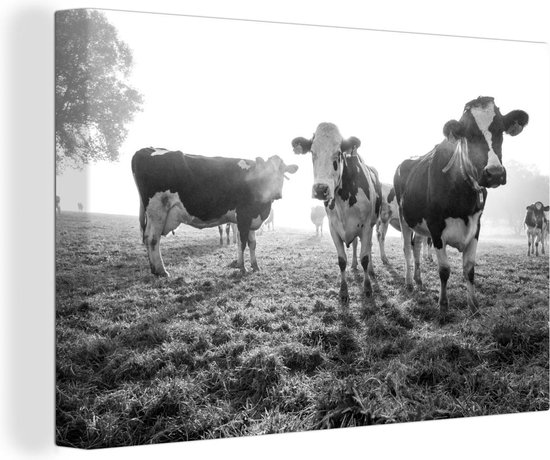 Foto: Canvas koeien landschap mist dieren schilderij op canvas canvasdoek 120x80 cm