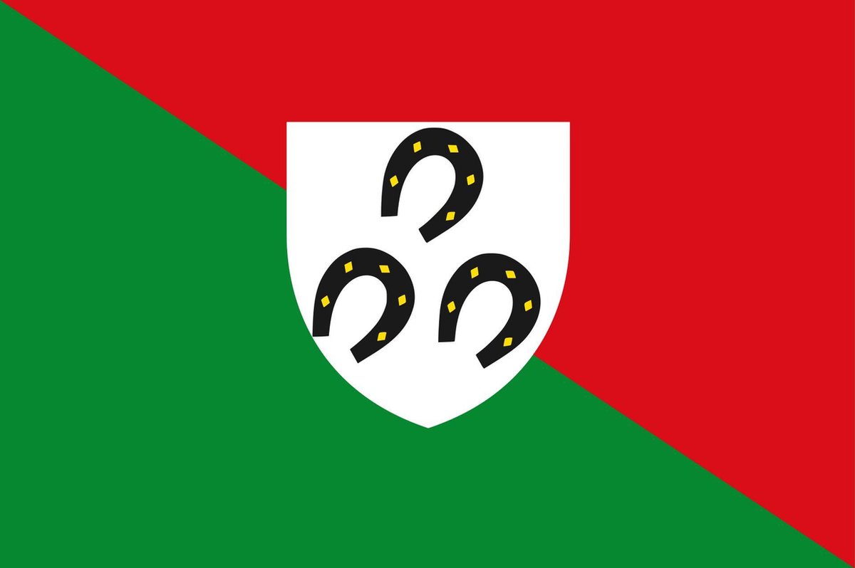 Vlag Bertrix 100x150cm