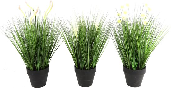 Countryfield - Kunstplant - Poaceae 30 X 30 X 60 Cm -  1 Stuks