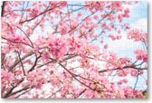 Roze Bloesem met een Blauwe Lucht - 252 Stukjes puzzel voor volwassenen - Besteposter - Landschap - Natuur - Bloemen