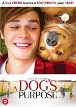 A Dog's Purpose