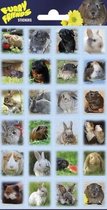 stickervel Rabbits/Guinea Pigs papier 24 stuks