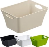 Rotho opbergbox LIVING 5,0 l (30 x 22 x 14 cm) groen