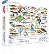 New York Puzzle Company - Vintage Images Fish ~ Poissons - 1000 stukjes puzzel