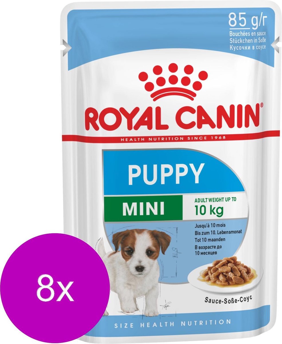 kip Verliefd duizelig Royal Canin Mini Puppy - Hondenvoer - 8 x (12 x 85 g) | bol.com