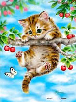 Dielay - Diamond Painting Pakket - Kitten - 30x20 cm - Complete Set - Volledige Bedekking - Ronde Steentjes